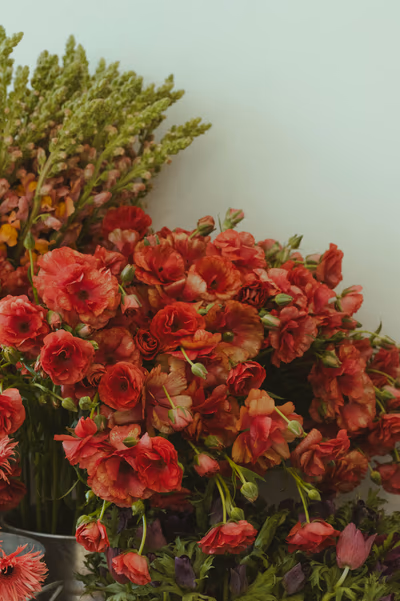 Photographie par Sarah Premont