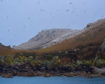 Photographie par Sarah Premont