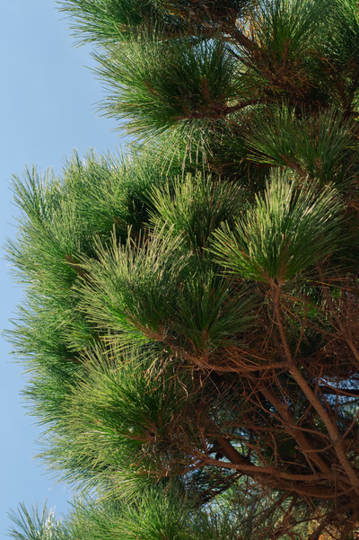 Photographie par Sarah Premont